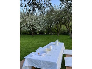 Im Apfelgarten ist gedeckt