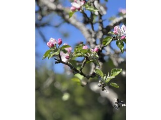 Appartamento per vacanze Meersburg Ambiente 39