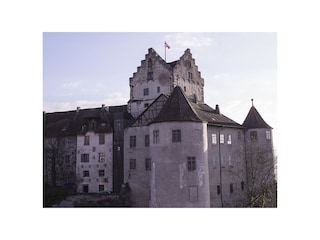 Die Burg von Meersburg