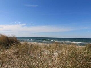 Ostsee in zingst.