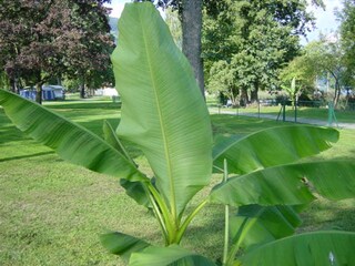 Casa per le vacanze Bodensdorf Ambiente 12