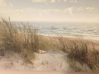 Stranddüne
