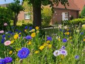 Ferienwohnung Carolinensiel seniorenfreundlich