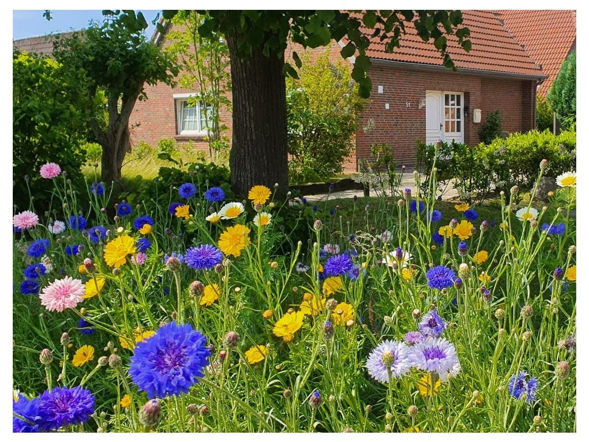 Ferienwohnung Carolinensiel seniorenfreundlich