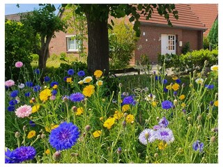 Vakantieappartement Carolinensiel Buitenaudio-opname 1