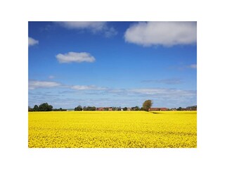 Appartamento per vacanze Carolinensiel Ambiente 22