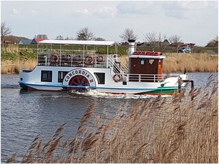 Apartamento de vacaciones Carolinensiel Entorno 23