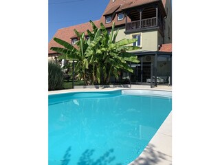 Casale Pfaffenheim Registrazione all'aperto 2