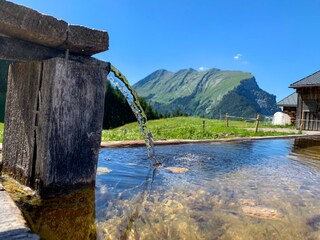 Appartamento per vacanze Schoppernau Ambiente 19