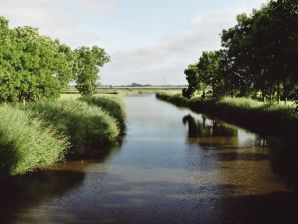 Ferienwohnung Groß-Margens - Neuharlingersiel - image1