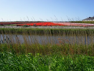 Appartamento per vacanze Julianadorp Ambiente 15