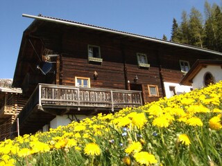 Appartamento per vacanze Ultental Registrazione all'aperto 8