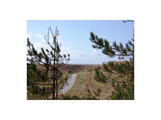 Casa per le vacanze Den Burg Ambiente 18