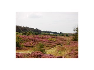 Casa per le vacanze Den Burg Ambiente 19