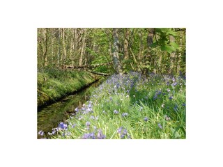 Casa per le vacanze Den Burg Ambiente 20