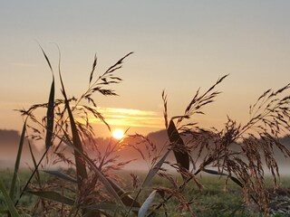 Casa per le vacanze Den Burg Ambiente 21