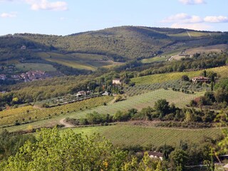 Casa per le vacanze Gaiole in Chianti Ambiente 25