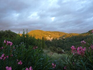 Casa per le vacanze Gaiole in Chianti Ambiente 24