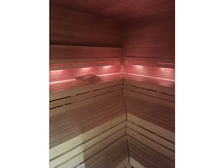 Biosauna 60 o