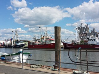 Hafen