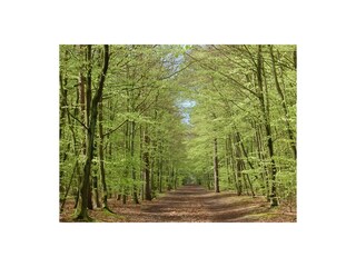 Casa per le vacanze Den Burg Ambiente 18