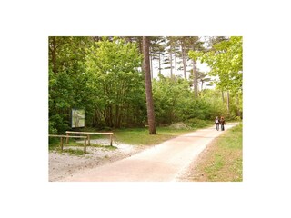 Casa per le vacanze Den Burg Ambiente 19