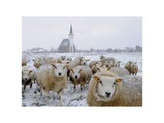 Casa per le vacanze Den Burg Ambiente 21