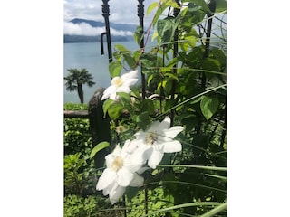 Appartamento per vacanze Trarego Viggiona Registrazione all'aperto 9