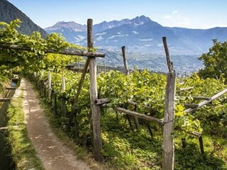 Appartamento per vacanze Meran Ambiente 25