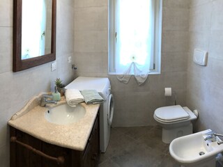 Casa per le vacanze Manerba del Garda Caratteristiche 13