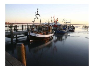 Feierabend am Fischereianleger in Rerik