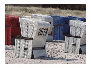 Strandkörbe am Badestrand in Rerik