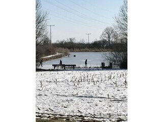 Natur-Weiher in Schopfloch