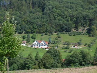Haus in Alleinlage am Waldrand