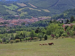 Villa Cagli Environnement 40