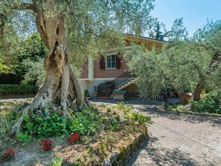 Villa Pesaro Grabación al aire libre 12