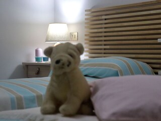 Villa Pesaro Caratteristiche 33