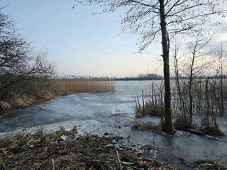 Casa per le vacanze Thorstorf Ambiente 27
