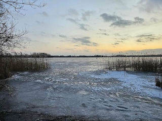 Maison de vacances Thorstorf Environnement 31