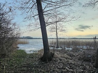 Vakantiehuis Thorstorf Omgeving 38