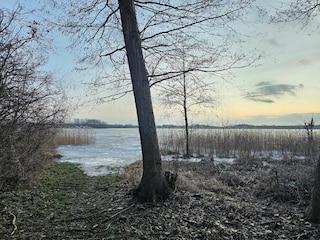 Ferienhaus Thorstorf Umgebung 37