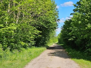 Vakantiehuis Thorstorf Omgeving 31