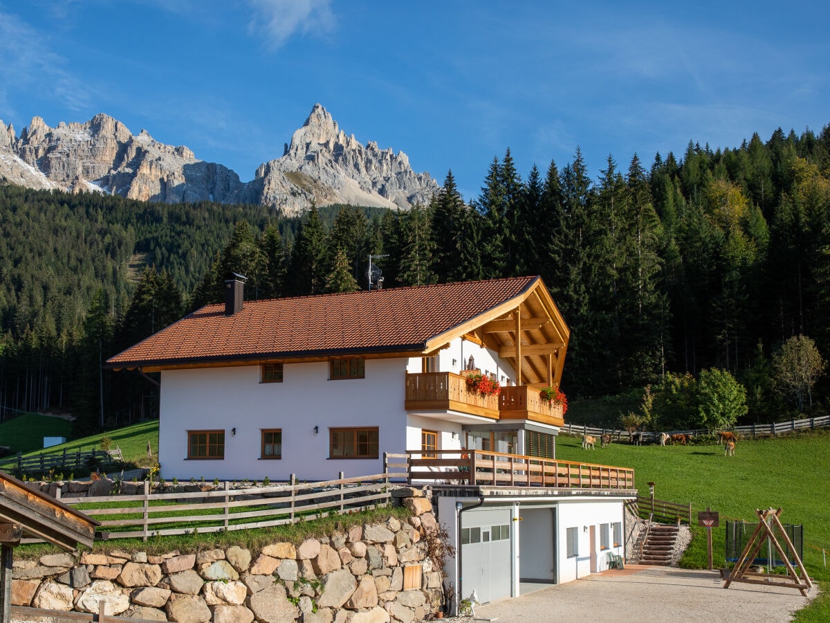 Wenn es im Sommer und im Herbst  ums Haus grün  ist.