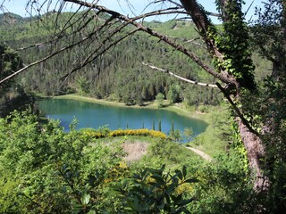 Casa per le vacanze Gaiole in Chianti Ambiente 16
