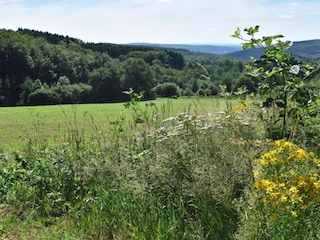 Casa de vacaciones Chiddes (Saône-et-Loire) Entorno 39