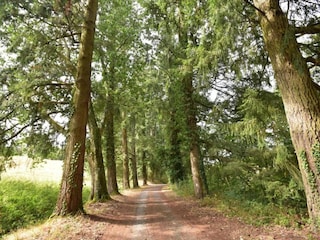 Maison de vacances Chiddes (Saône-et-Loire) Environnement 49