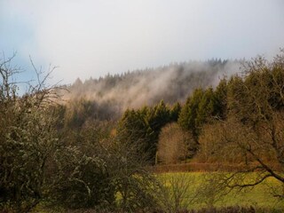 Maison de vacances Chiddes (Saône-et-Loire) Environnement 40