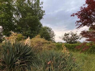 Casa per le vacanze Chiddes (Saône-et-Loire) Ambiente 32