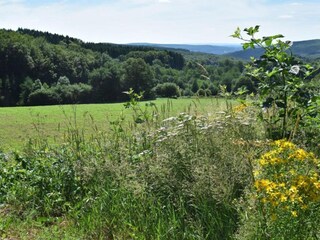 Casa per le vacanze Chiddes (Saône-et-Loire) Ambiente 32