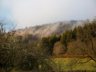 Maison de vacances Chiddes (Saône-et-Loire) Environnement 36